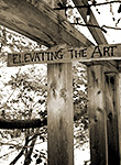 Emerson Treeshop | Elevating the Art
