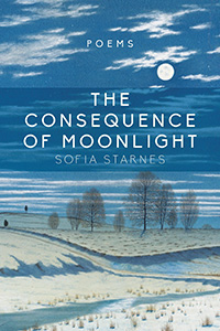 The Consequence of Moonlight (Paraclete Press, 2018)