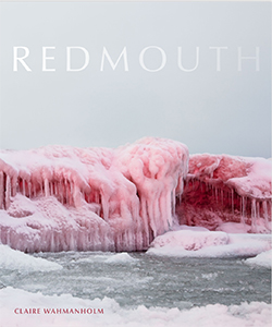 Redmouth (Tinderbox Editions, 2019)