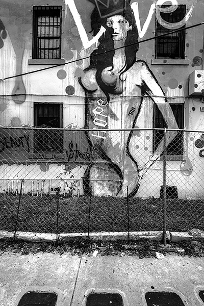 Photograph of street art on building with windows. Chain link fence in foreground.
