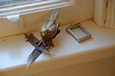 Brass bird standing on two crossed feathers on a windowsill.