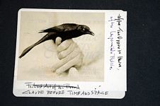 Image of a blackbird on a hand affixed to black folder and inscribed “Claude Before Time and Space.”