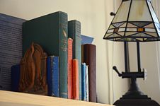 Angled view of stylized bird bookends with bird identification books and glass shaded lamp.