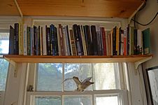 Wider shot of book shelf mounted high in front of a window with a bird figurine handing below.