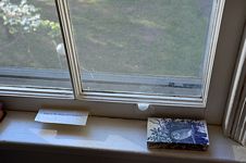 Window sill with card reading “Hope is a thing with feathers”; box or slip case with blue and white image of a barn owl.