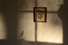Back wall of study showing a framed print of a bird and the shadow of the cardinal weather vane from across the room.
