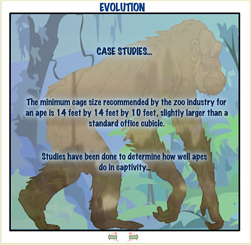 Frame from "Evolution"