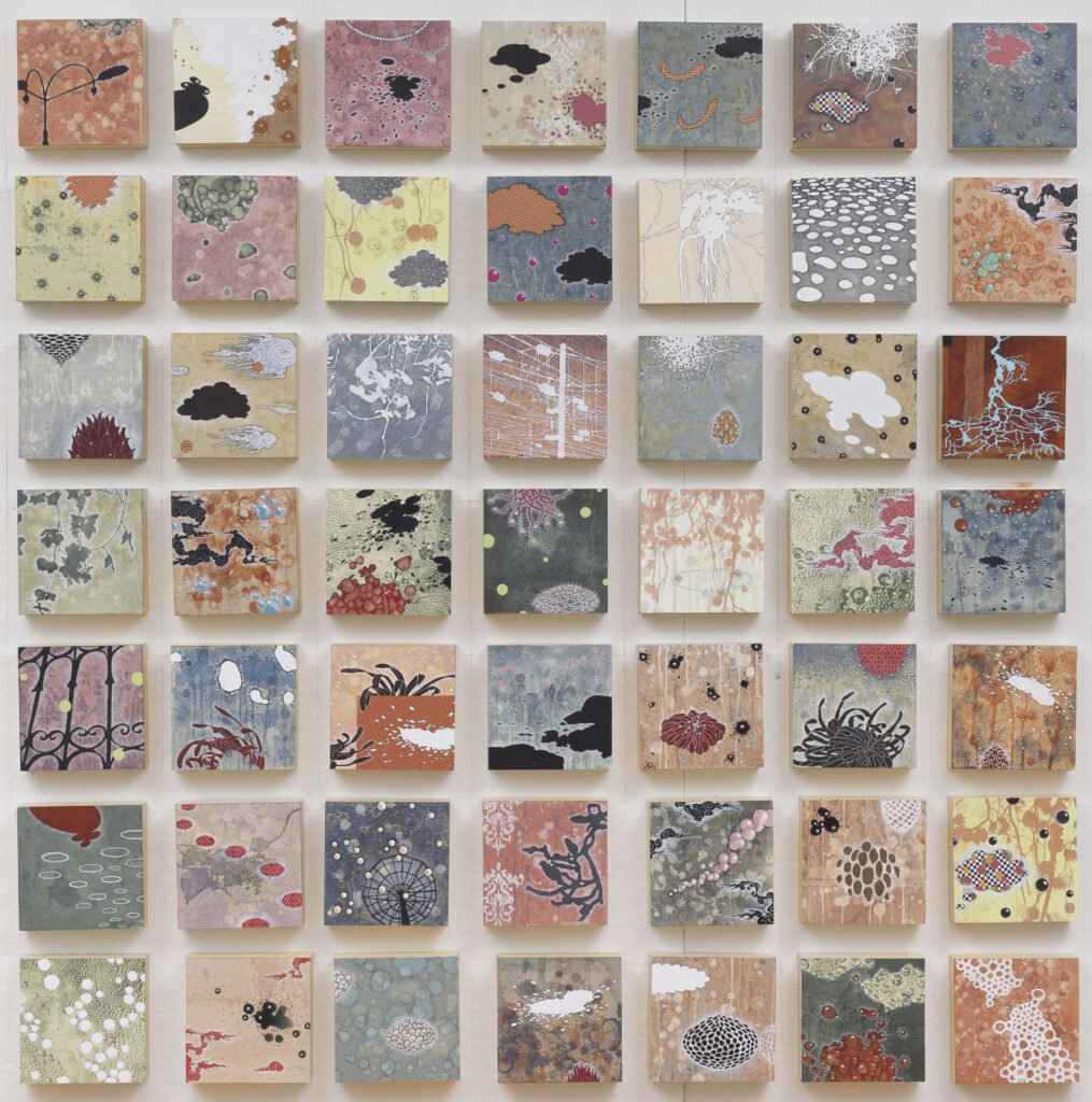 A 7 by 7 set of square prints featuring various fungi, flora, and metal objects.