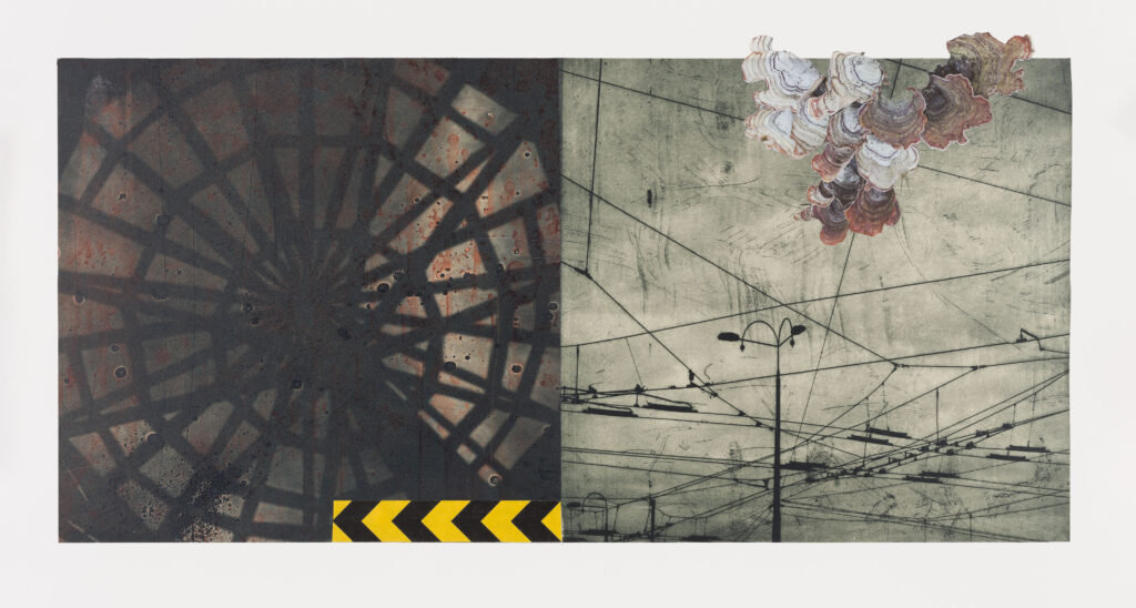 Two photopolymer images side by side. The one on the left features a shadow of wheel spokes. The one on the right features power lines. These are overlayed with a pattered caution strip and a mushroom that appears to break the border.