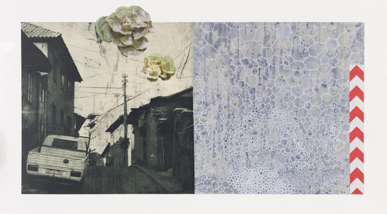 Two photopolymer images side-by-side, one featuring a view of a street with a pickup truck parked along the sidewalk and the other merely featuring a soft blue spore pattern. The images are overlayed with digitally printed mushrooms and a boldly patterned caution strip.