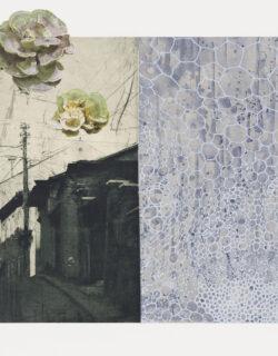 Two photopolymer images side-by-side, one featuring a view of a street with a pickup truck parked along the sidewalk and the other merely featuring a soft blue spore pattern. The images are overlayed with digitally printed mushrooms and a boldly patterned caution strip.