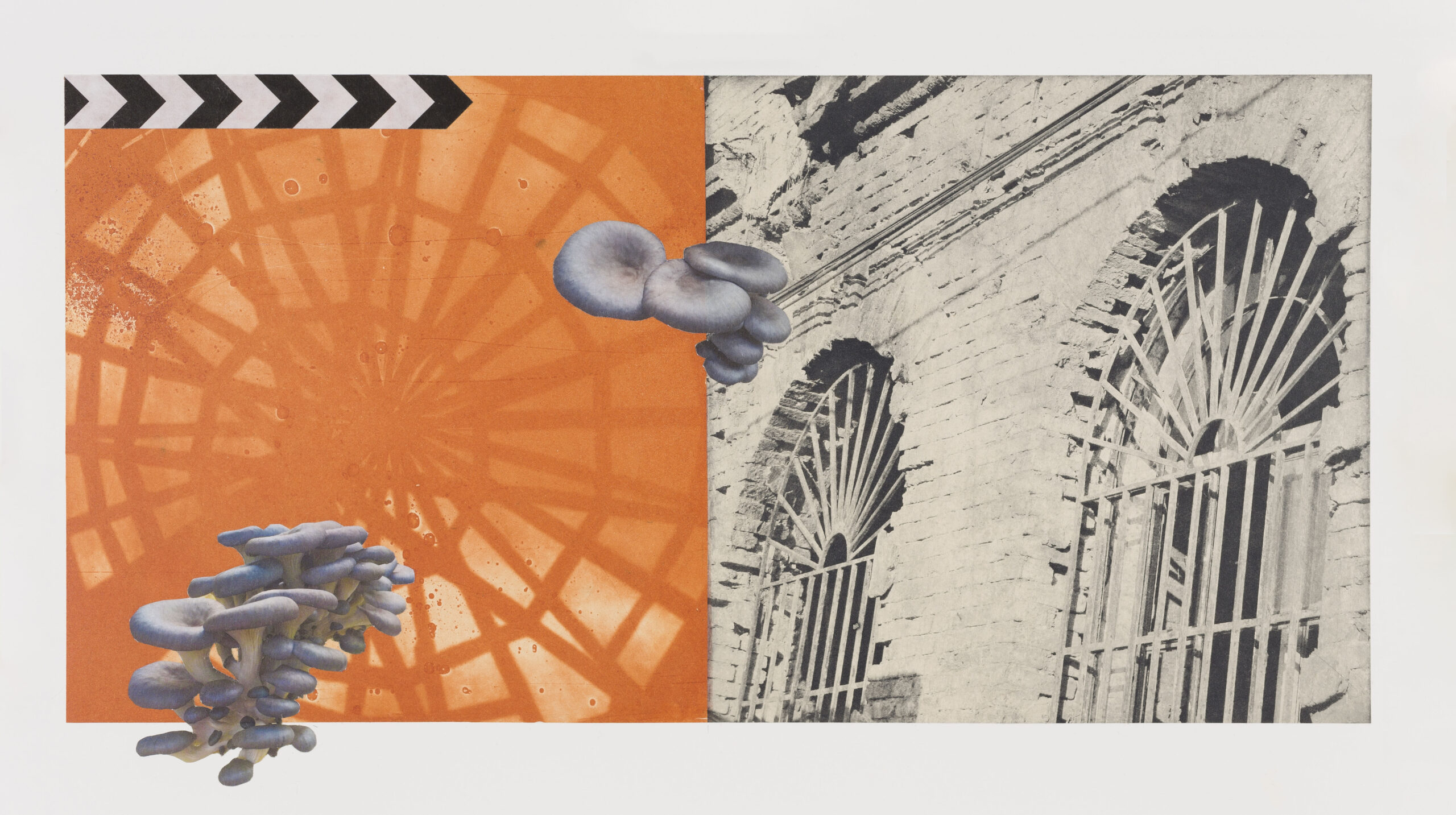 Two side-by-side photopolymer images of windows, one in bright orange and the other in tan, overlayed with digitally printed mushrooms and a bold patterned strip.