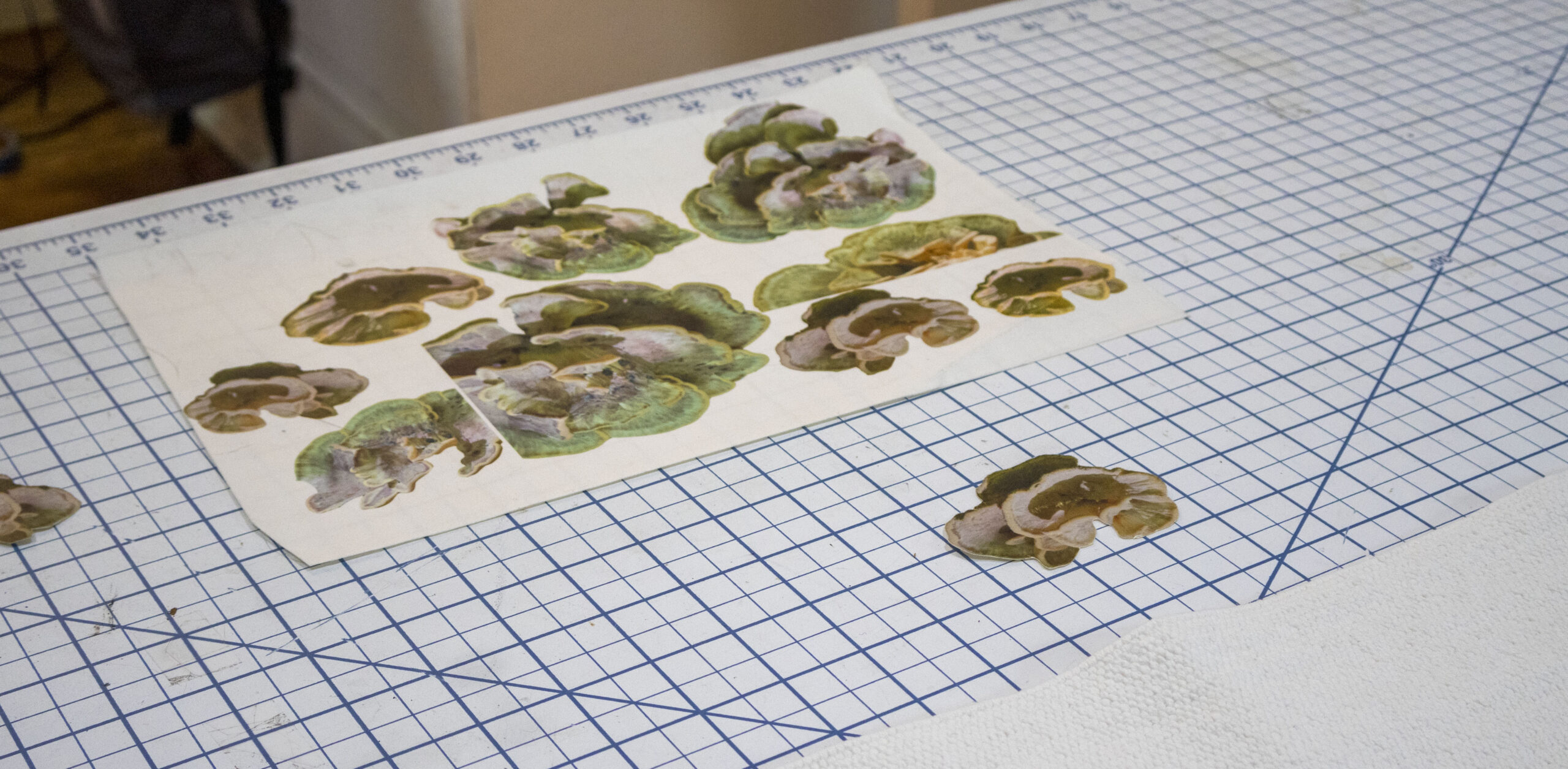 Digitally-printed mushrooms laid out on a cutting mat.