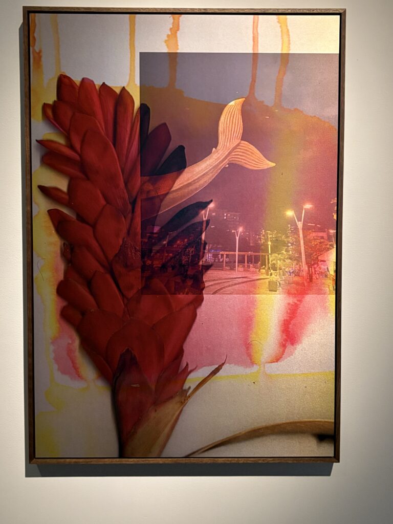 Dye sublimation print showing a plant and whale tail in reds and yellows