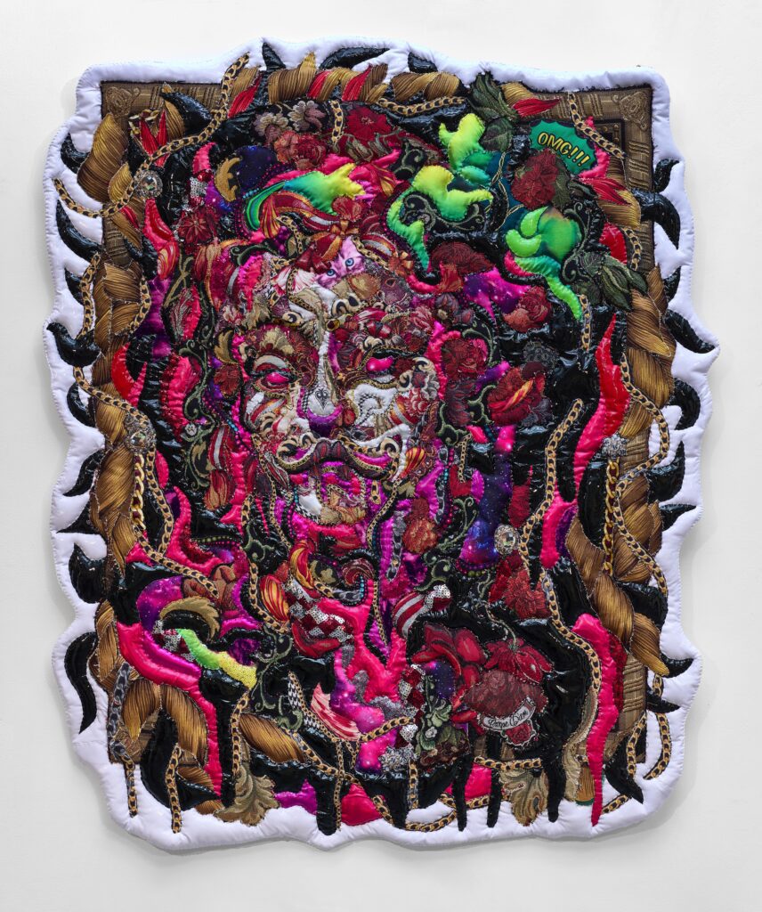 Woman's face emerges from collage of textiles in varying textures and colors, including fabric showing a comic-book style "OMG!!!!," gold chains, and a cat's eyes. Towards the bottom of the image a piece of fabric reads "Carpe Diem."
