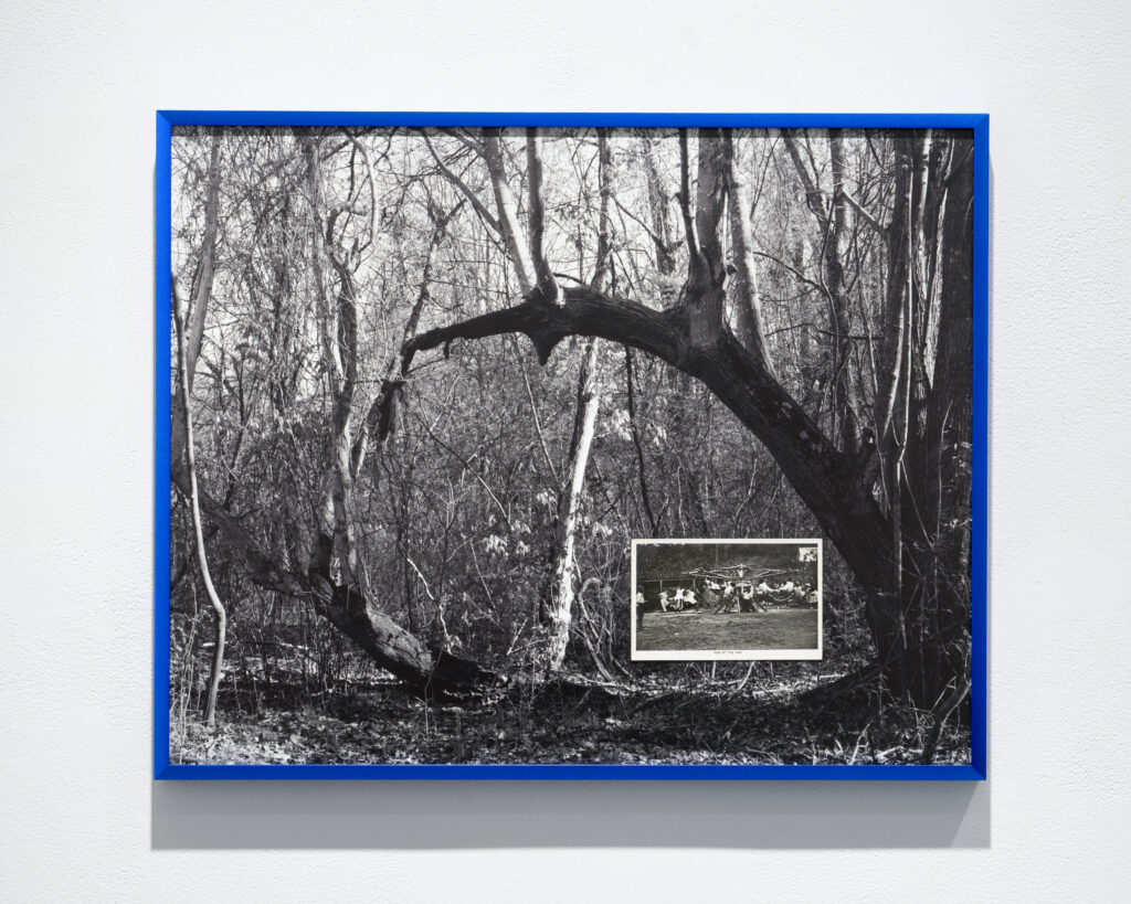Black-and-white photograph of woods framed in dark blue, with a postcard labeled "FUN AT THE FAIR" imposed on top of it, positioned in the lower right quarter. In the postcard, people ride a swing.