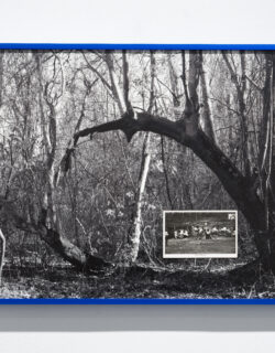 Black-and-white photograph of woods framed in dark blue, with a postcard labeled "FUN AT THE FAIR" imposed on top of it, positioned in the lower right quarter. In the postcard, people ride a swing.