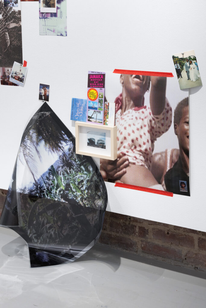 Collage close-up, including photographic close-up of woman that is cropped so the top of her face with a man's arm around her waist, a wedding photo, brochures, a framed photo of cruise liners, and b