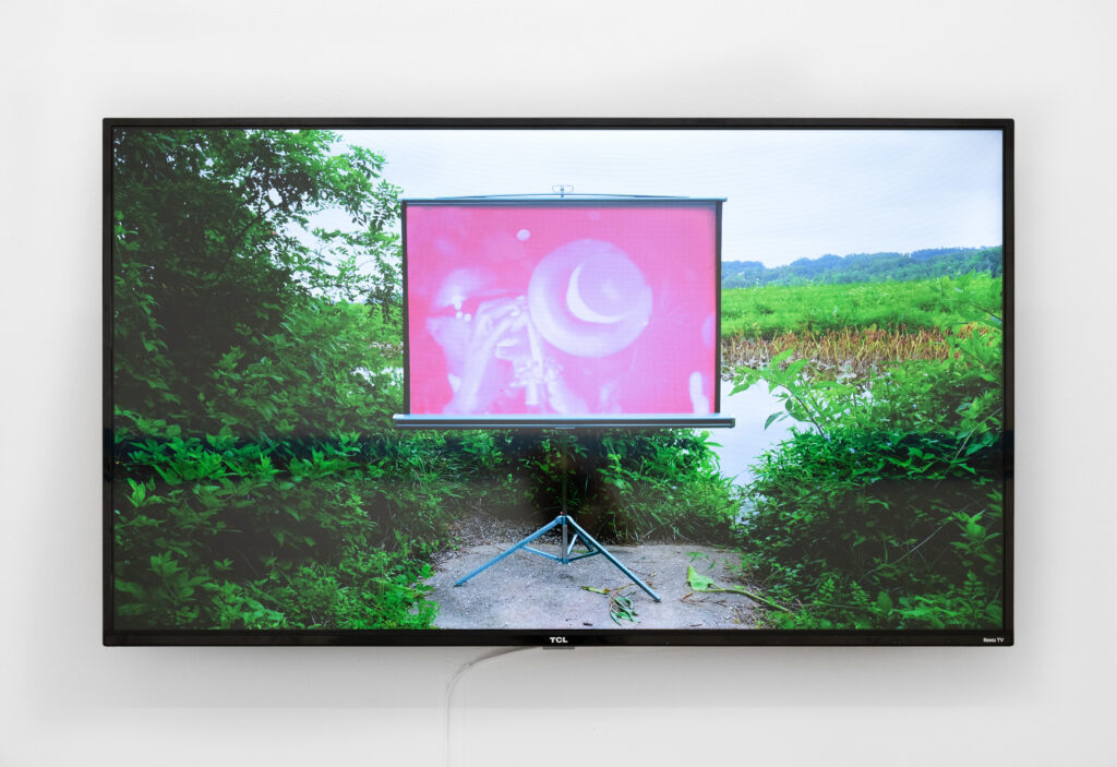 Video still, on screen mounted on white wall. There is an image of a green landscape with plants and water, and within the landscape, a projector on which is a pink-tinted image of a person.